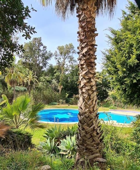 Soleado Apartamento Golf Y A 900 M De La Playa Бенальмадена Экстерьер фото